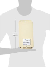 Pentair IntelliChlor Power Center for Salt Chlorine Generators | 520556 – view 2 by Pool Supply Wholesale