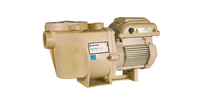 Pentair WhisperFlo VST Variable-Speed Pool Pump, 2.6 HP | 011533 by Pool Supply Wholesale