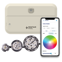 Pentair IntelliVibe Light Controller, 14V, 200W | 602260 by Pool Supply Wholesale