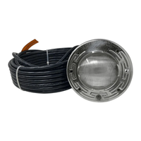 Pentair IntelliBrite Architectural Color LED Spa Light, 120V, 100' Cord | 602203 – view 4 by Pool Supply Wholesale