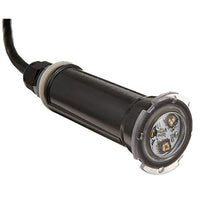 Pentair GloBrite White LED Pool & Spa Light, 12V, 15W, 150' Cord | 602105 by Pool Supply Wholesale