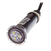 Pentair GloBrite White LED Pool & Spa Light, 12V, 15W, 50' Cord | 602103 by Pool Supply Wholesale